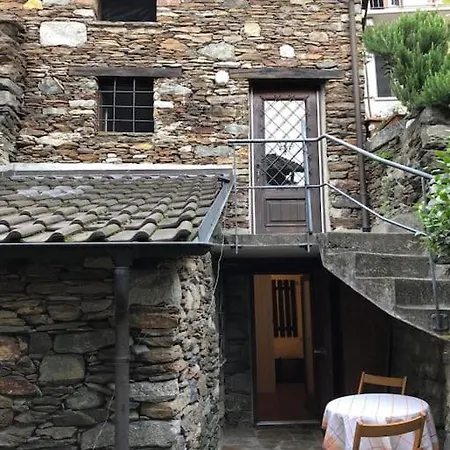 In Our Little Nest *