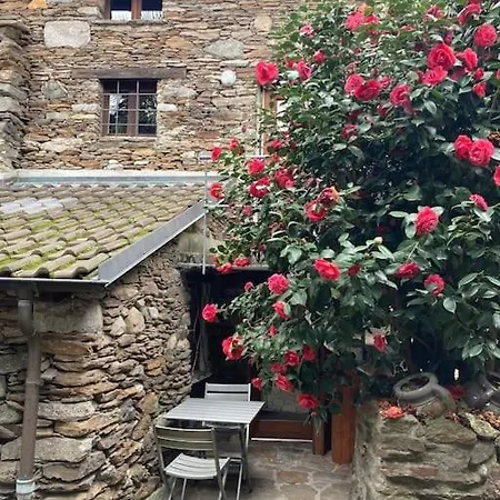Vakantiehuis In Our Little Nest Brissago